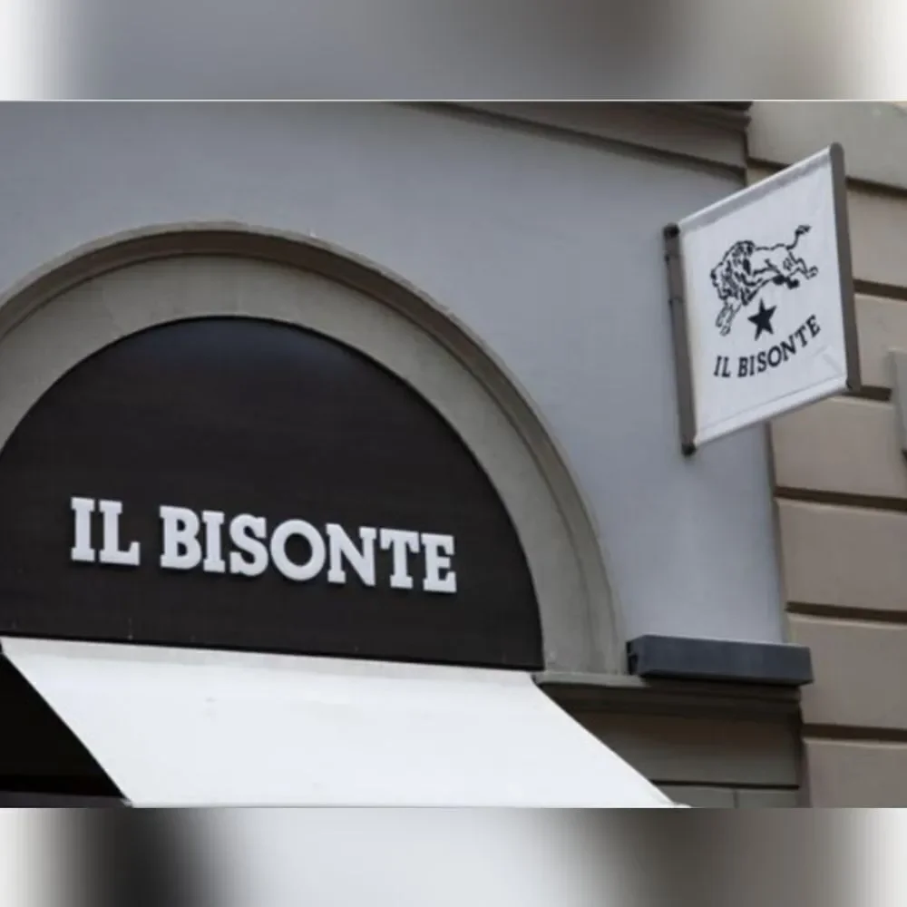 IL BISONTE Rare Italian Leather Satchel/ Tote Bag